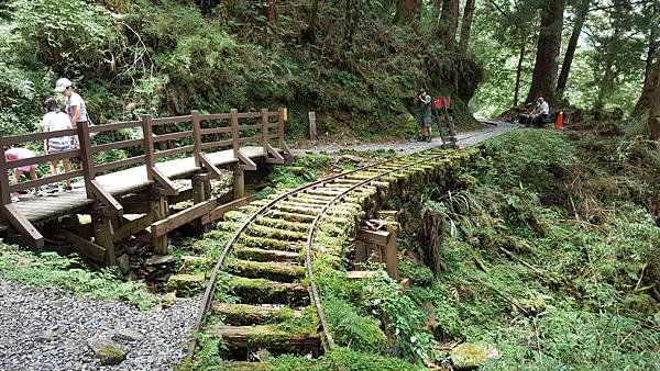 113.07.06-113.07.07宜蘭．太平山二日遊