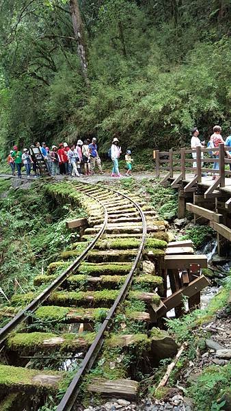 113.07.06-113.07.07宜蘭．太平山二日遊