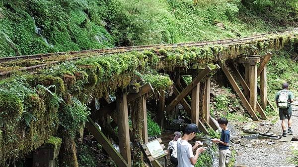 113.07.06-113.07.07宜蘭．太平山二日遊