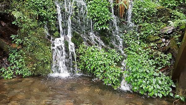 20160723_112555.jpg