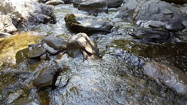 20170719_082728.jpg