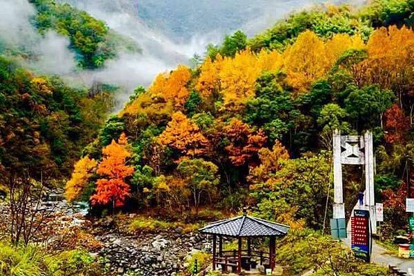111.12.24尖石楓情之旅～霞喀羅古道．秀巒賞楓趣