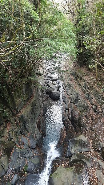 20171216_122409.jpg