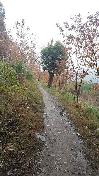 20171216_124950.jpg