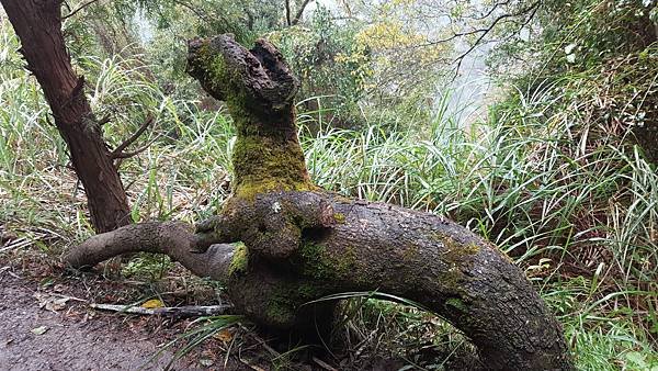 20171216_130117.jpg