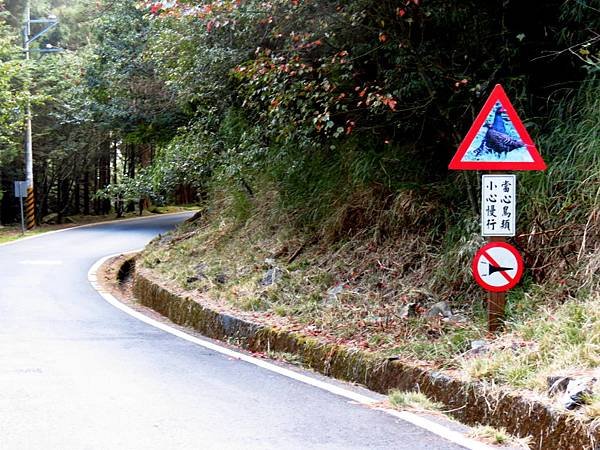 112.12.09-112.12.10大雪山森呼吸～大雪山楓