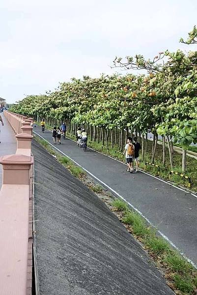111.10.22柿柿如意～柿餅小鎮．海岸單車．賞蟹之旅