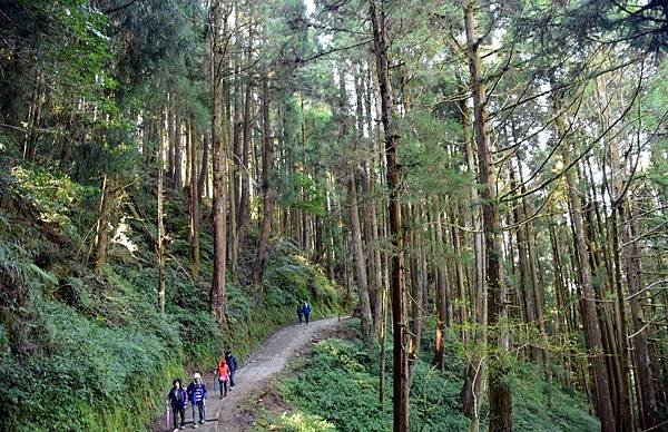 特富野古道_181019_0004.jpg