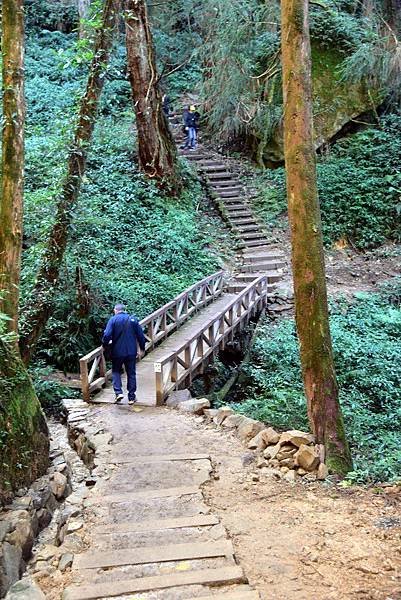 特富野古道_181019_0035.jpg