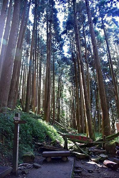 特富野古道_181019_0038.jpg