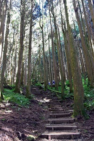 特富野古道_181019_0047.jpg