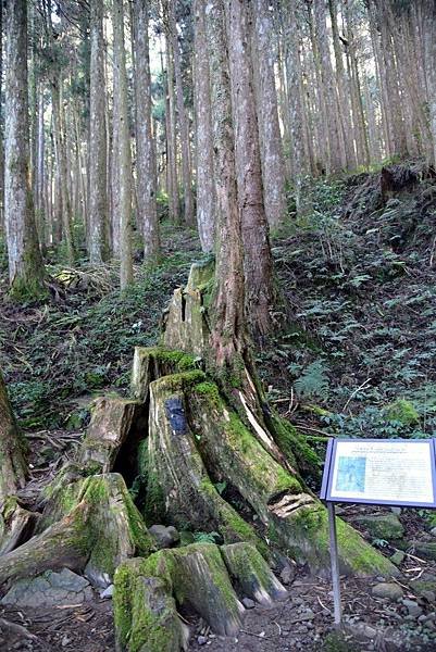 特富野古道_181019_0052.jpg