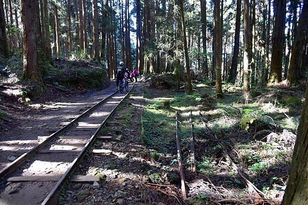 特富野古道_181019_0054.jpg