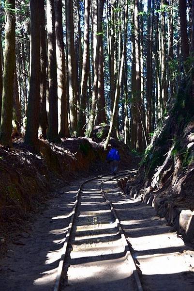 特富野古道_181019_0055.jpg