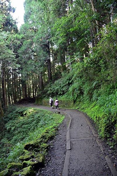 特富野古道_181019_0056.jpg