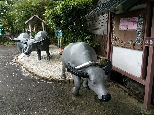 113.04.20基隆．東北角精彩一日遊