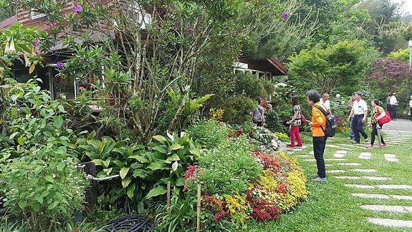 113.04.27南庄山城之旅～老街．魚道．桐花．螢火蟲