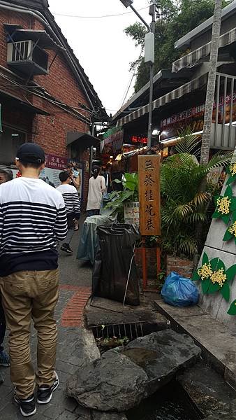 113.04.27南庄山城之旅～老街．魚道．桐花．螢火蟲