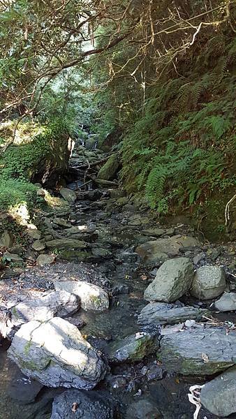 20180729_180729_0258.jpg