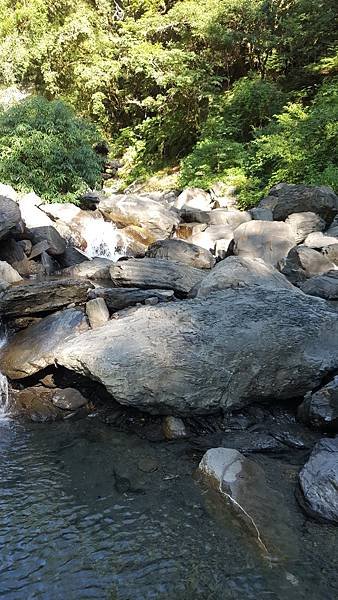 20180729_180729_0272.jpg