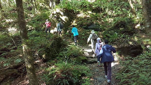 20180729_180729_0271.jpg