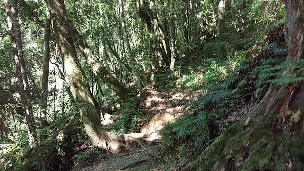 20180729_180729_0280.jpg