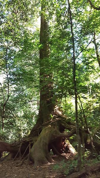 20180729_180729_0291.jpg