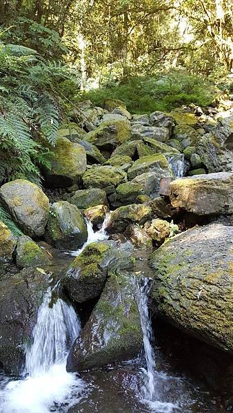 20180729_180729_0292.jpg