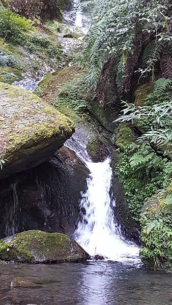 20180729_180729_0324.jpg