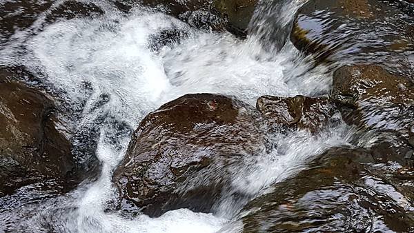 20180729_180729_0328.jpg