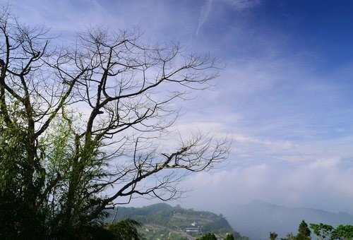 隙頂日出.二延平.得恩亞納_190508_0009.jpg