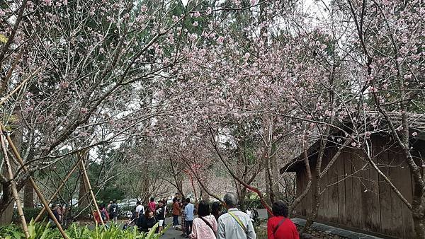 228-32春之饗宴三日遊_190303_0146.jpg