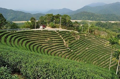 109.05.16「夢幻景點～千島湖ㄧ日遊」_200522_0210.jpg