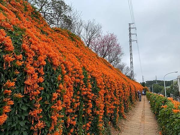 109.01.18-109.01.19阿里山森呼吸_201109_19.jpg