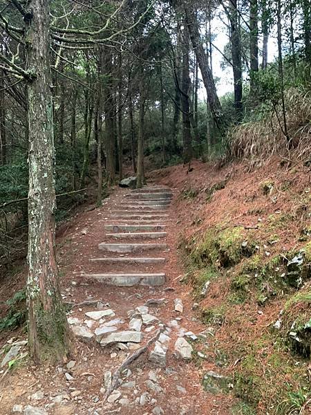 110.04.18-110.04.20八仙山.大雪山.茂林場勘_210502_16.jpg