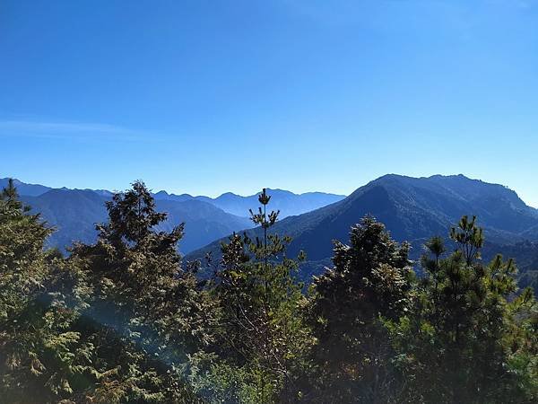 113.03.09-113.03.10雪霸．觀霧森呼吸二日遊