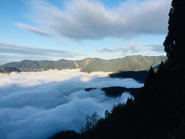 113.03.09-113.03.10雪霸．觀霧森呼吸二日遊