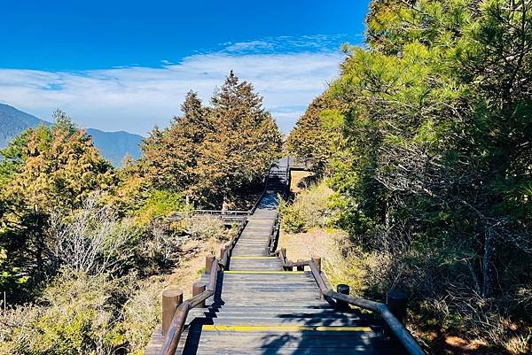 113.03.09-113.03.10雪霸．觀霧森呼吸二日遊