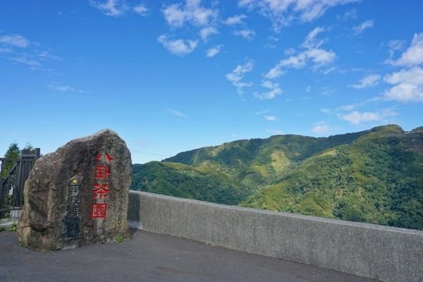 114.01.26-114.01.27春遊南投賞花之旅～玉山