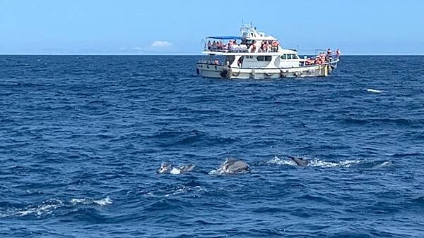 LINE_ALBUM_龜山島賞鯨登島_220726_75.jpg