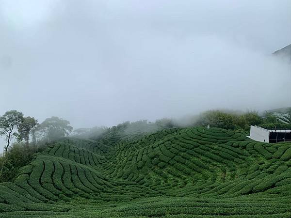 LINE_ALBUM_111.04.30-111.05.02合歡山高山杜鵑三日遊_220726_12.jpg