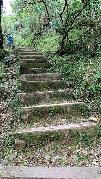 LINE_ALBUM_山毛櫸國家步道_220919_56.jpg