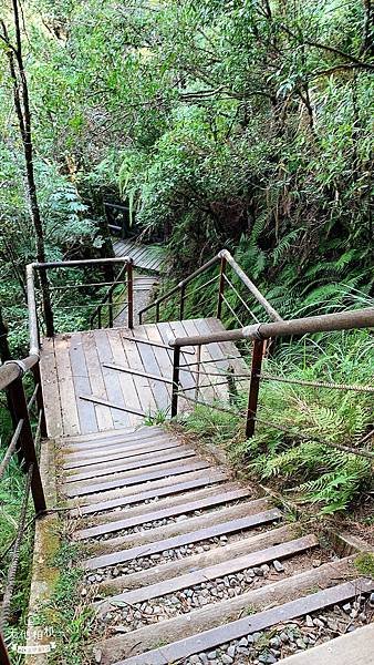 LINE_ALBUM_翠峰湖環山步道_220919_14.jpg