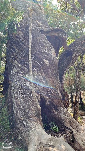 LINE_ALBUM_翠峰湖環山步道_220919_29.jpg