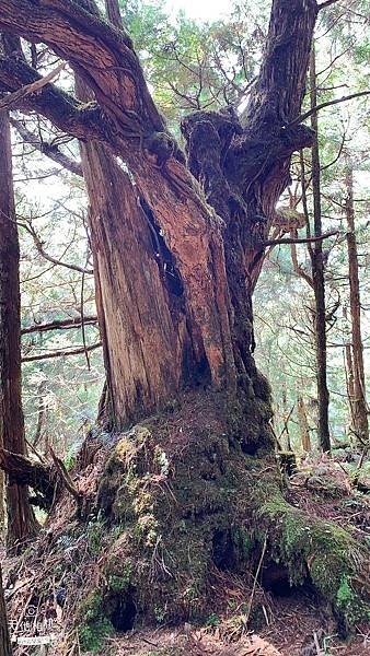 LINE_ALBUM_翠峰湖環山步道_220919_42.jpg