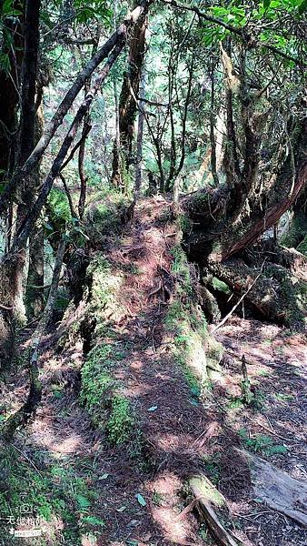 LINE_ALBUM_翠峰湖環山步道_220919_59.jpg