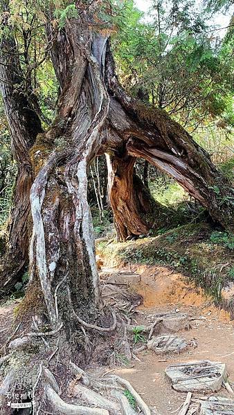 LINE_ALBUM_翠峰湖環山步道_220919_79.jpg