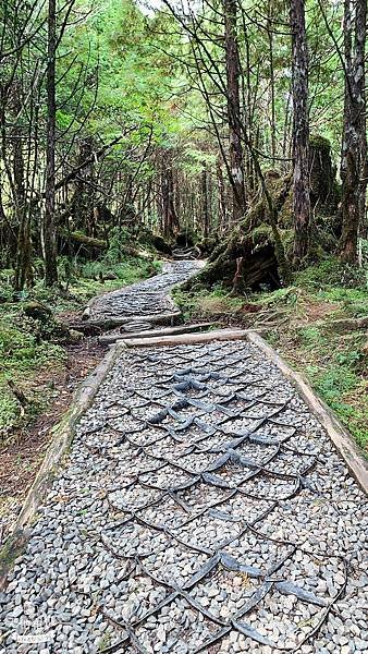 LINE_ALBUM_翠峰湖環山步道_220919_84.jpg