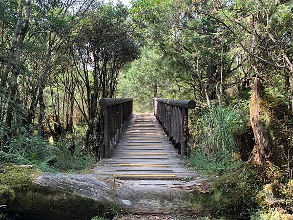 LINE_ALBUM_翠峰湖環山步道_220919_90.jpg