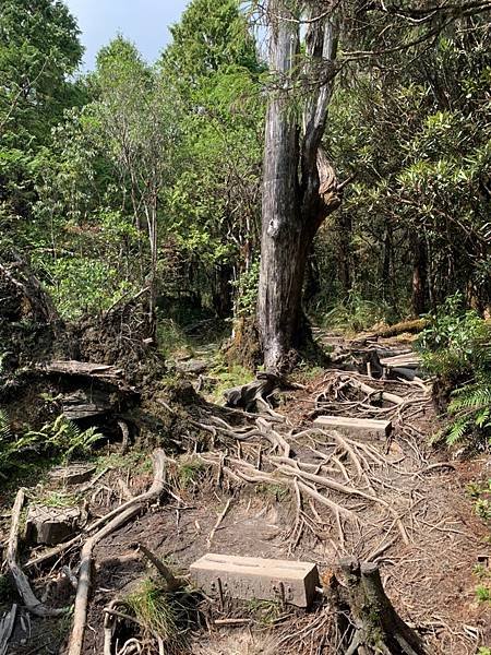 LINE_ALBUM_翠峰湖環山步道_220919_92.jpg